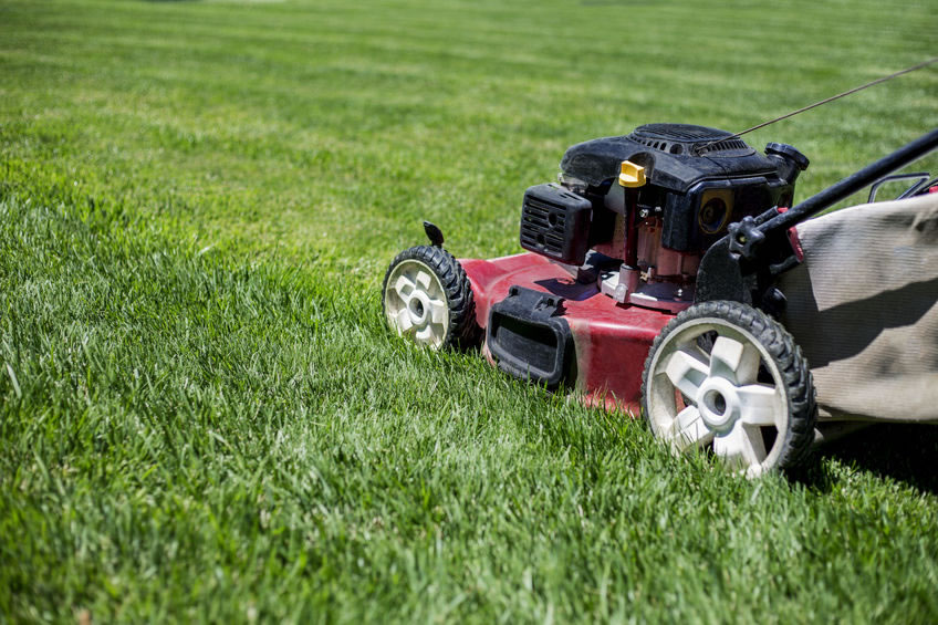 Lawnmower mowing grass